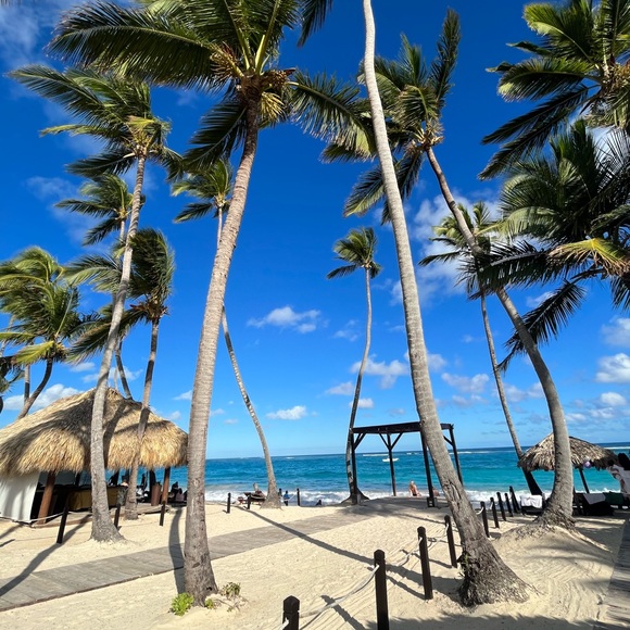 Meet your Posher, Emily - Picture 1 of 1